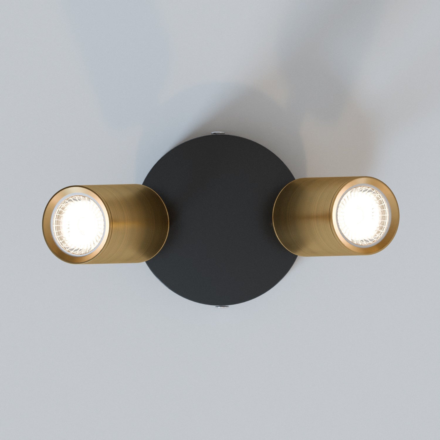 Modern Adjustable Double Head Rotatable GU10 Spotlight Ceiling Light Fixture
