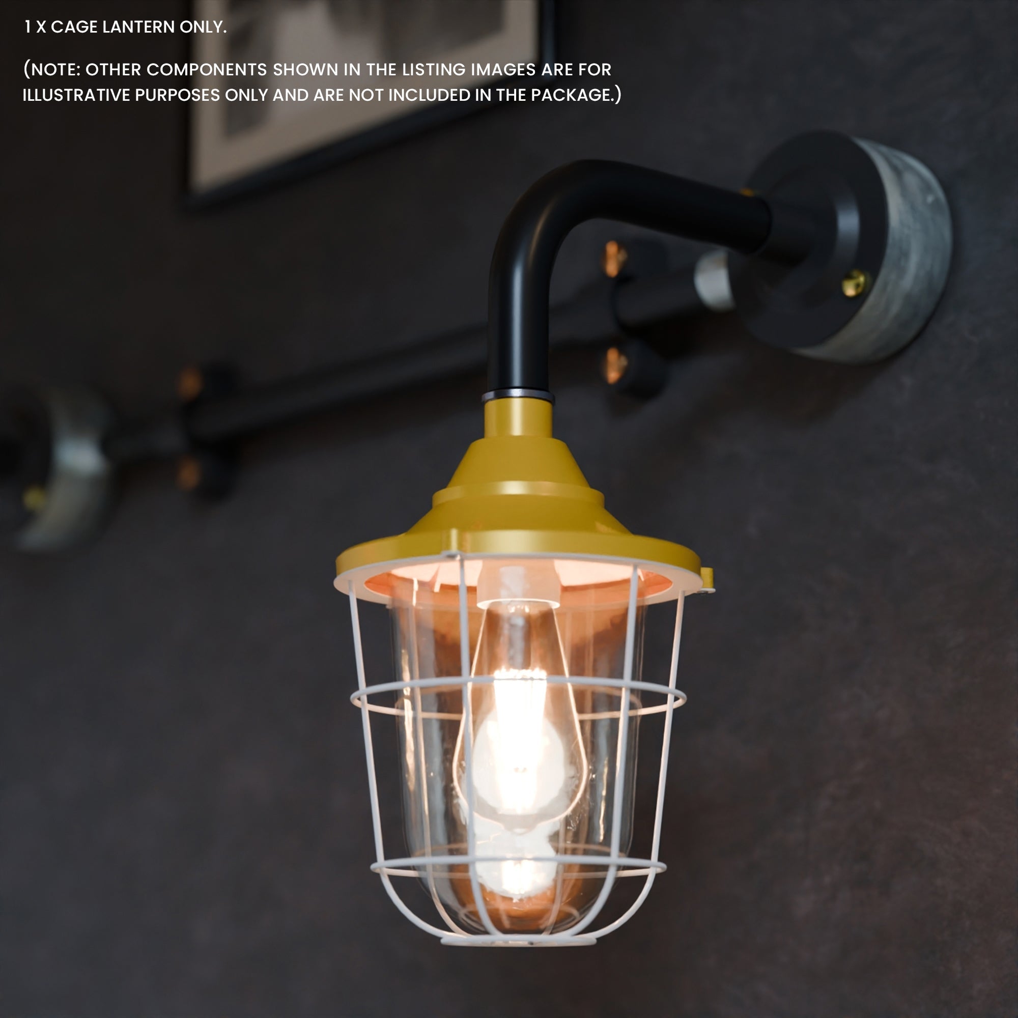 Durable Industrial Caged Conduit Fisherman Wall Lantern with Tempered Glass Shade