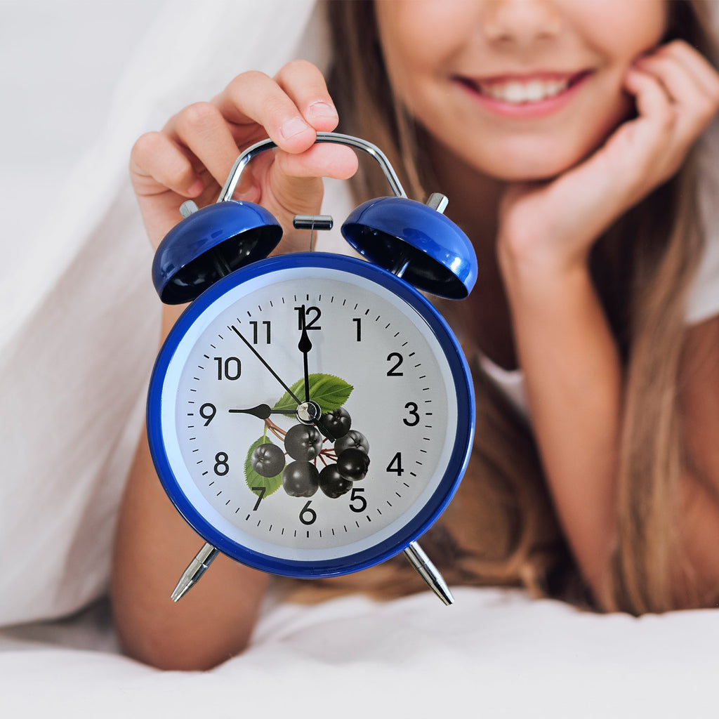 Retro Twin Bell Loud Bedside Alarm Clock Battery Operated for Heavy Sleepers