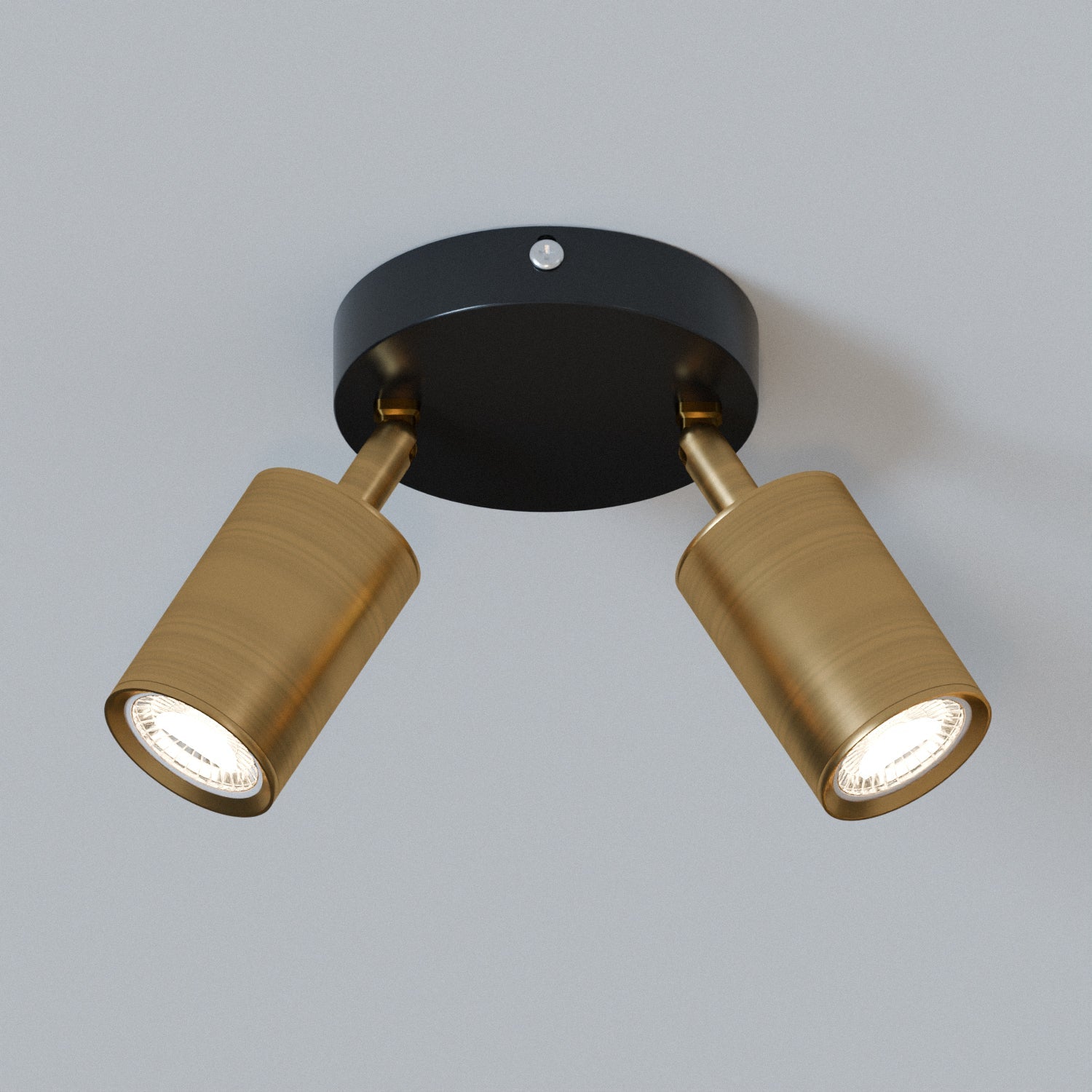Modern Adjustable Double Head Rotatable GU10 Spotlight Ceiling Light Fixture