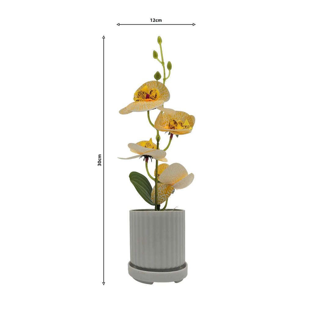 Artificial Orchid with Leaf Potted Plant for Interior Table Decoration~5657