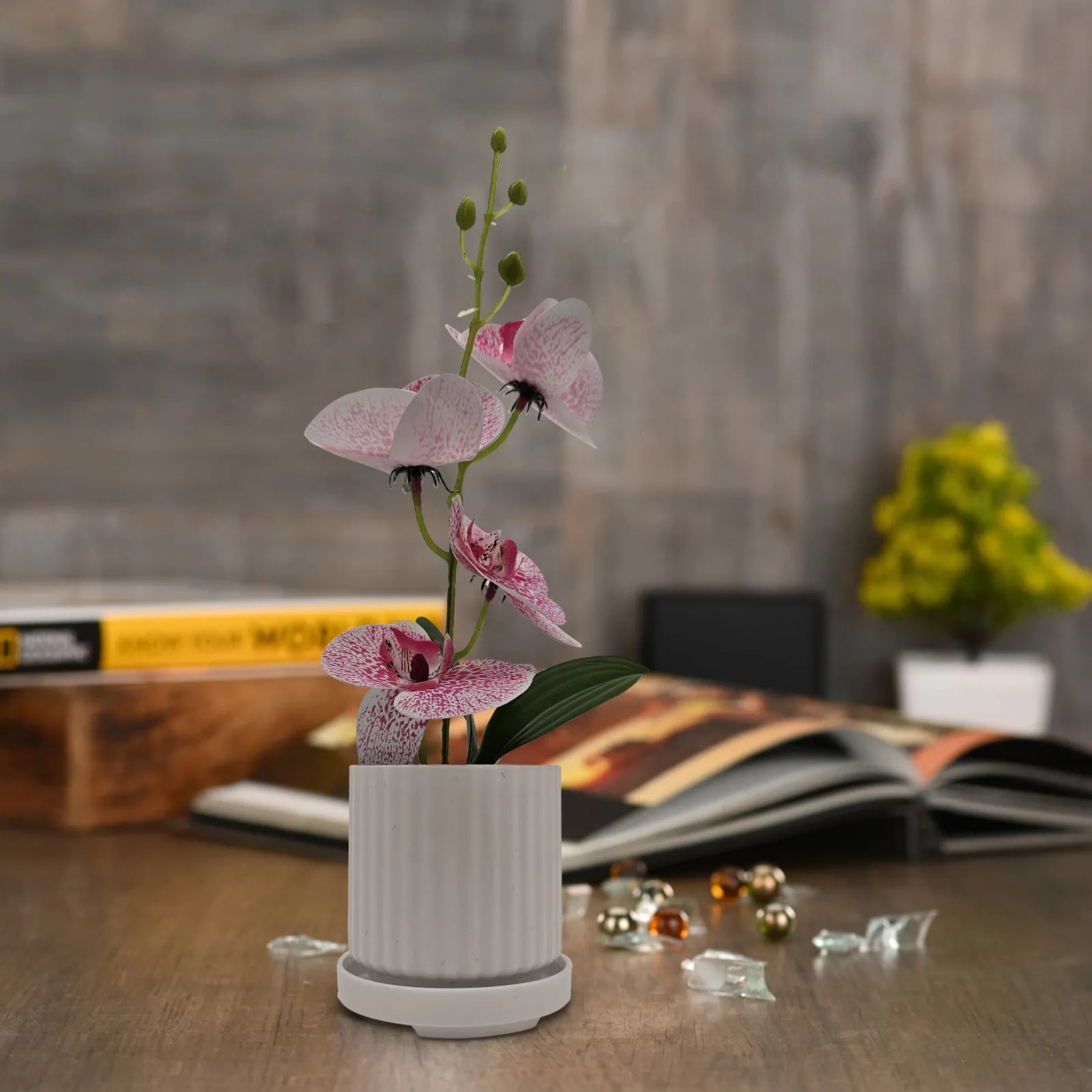 Artificial Orchid with Leaf Potted Plant for Interior Table Decoration~5657