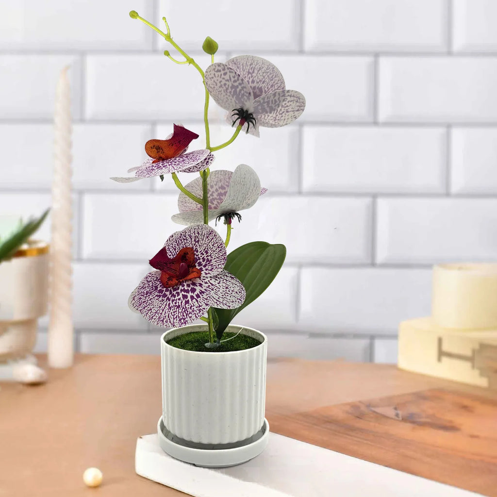 Artificial Orchid with Leaf Potted Plant for Interior Table Decoration~5657