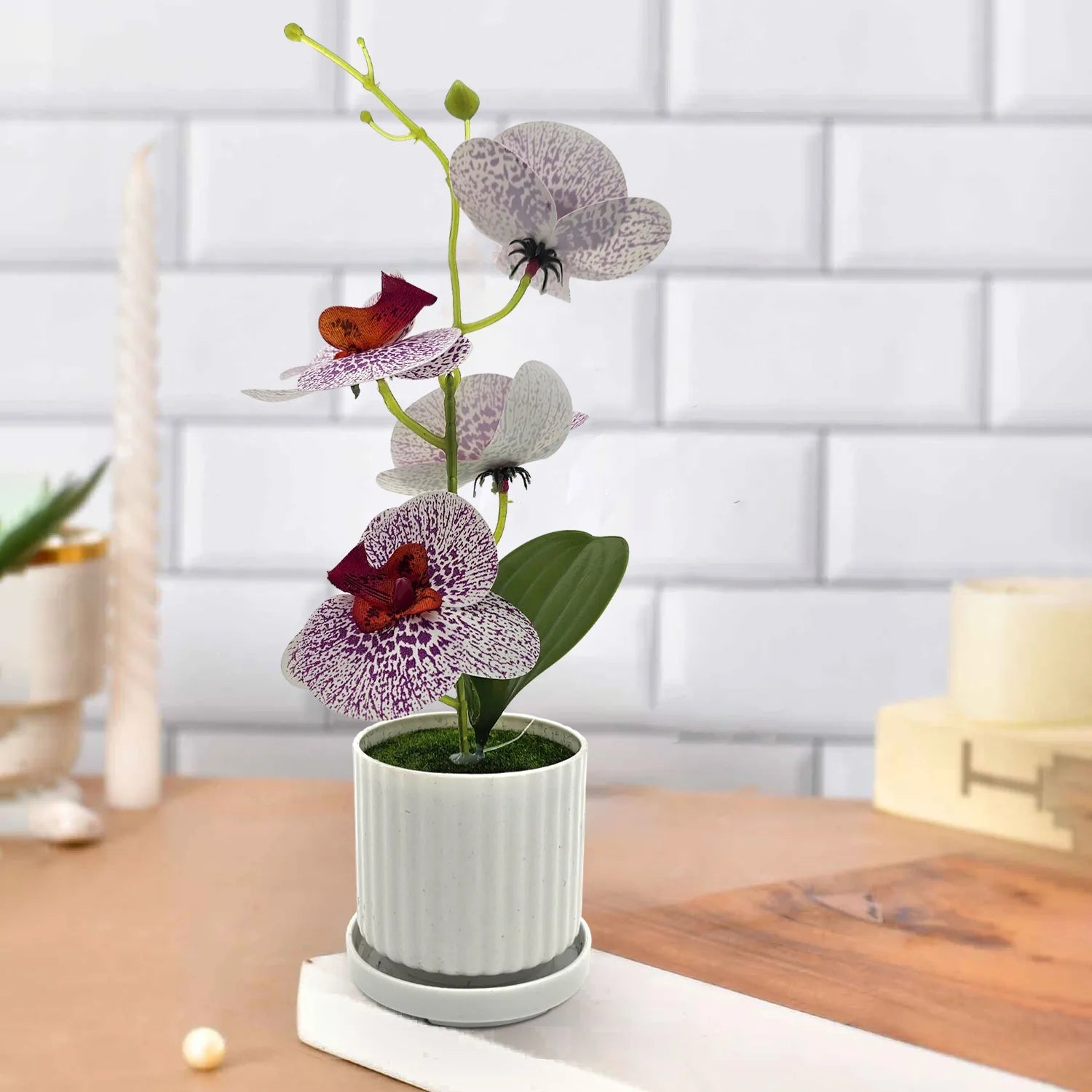 Artificial Orchid with Leaf Potted Plant for Interior Table Decoration~5657