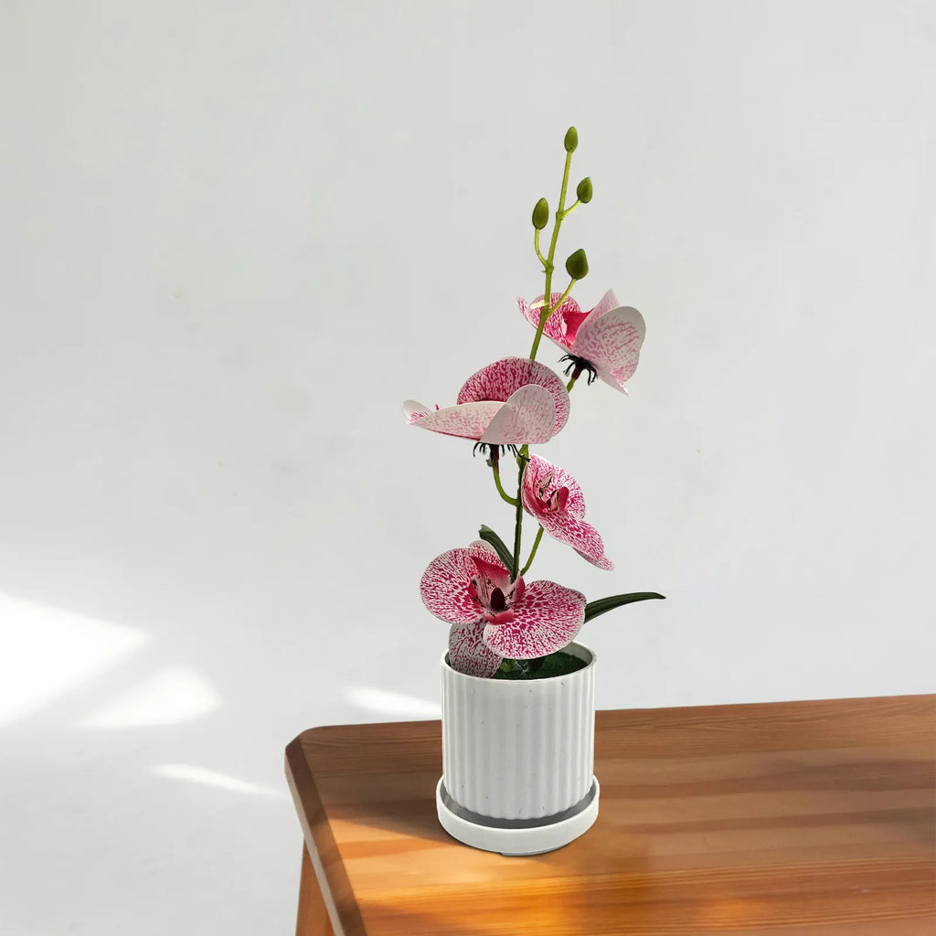 Artificial Orchid with Leaf Potted Plant for Interior Table Decoration~5657