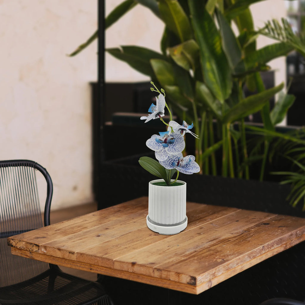 Artificial Orchid with Leaf Potted Plant for Interior Table Decoration~5657