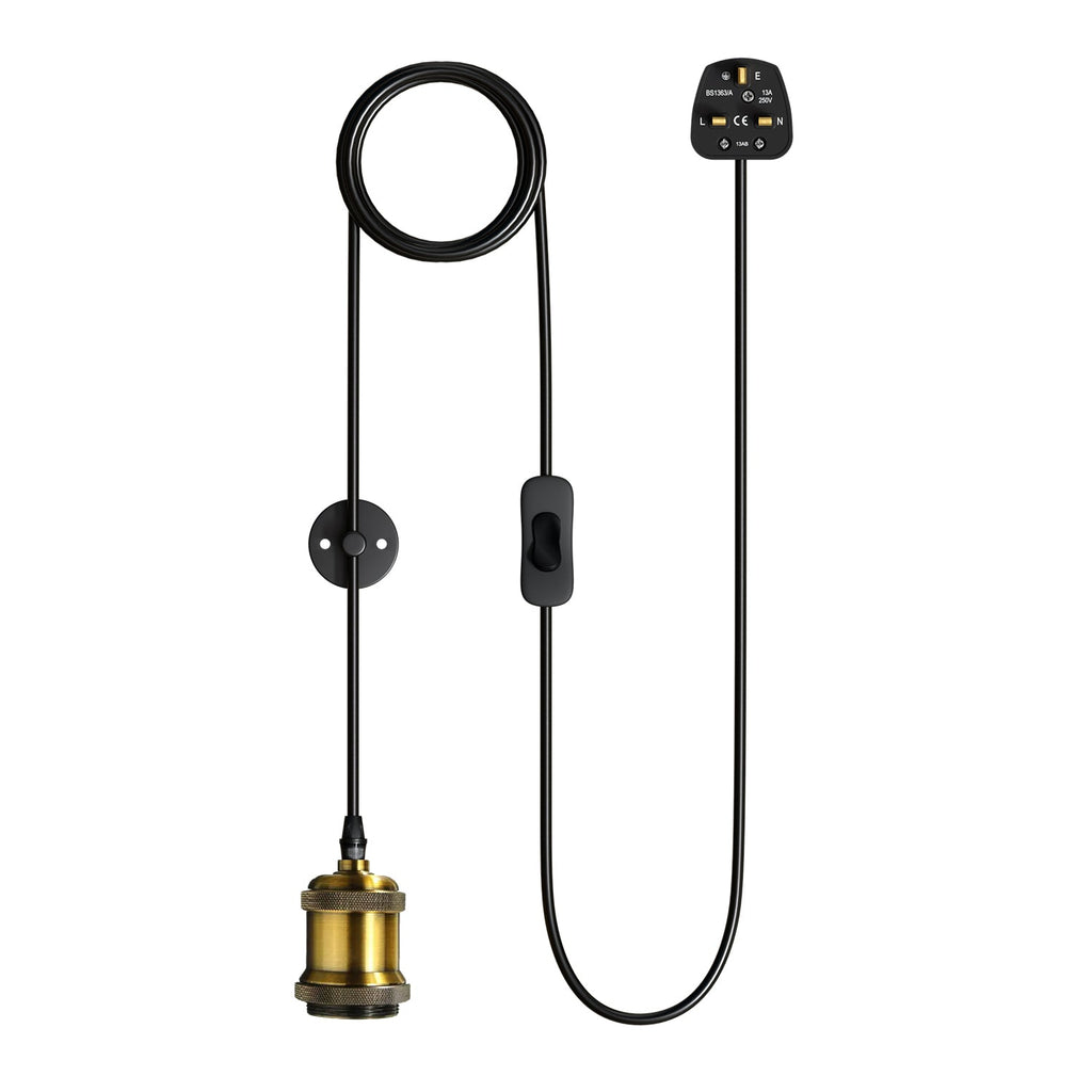 Vintage Style Plug-in Pendant Light with Adjustable Cable and Hook