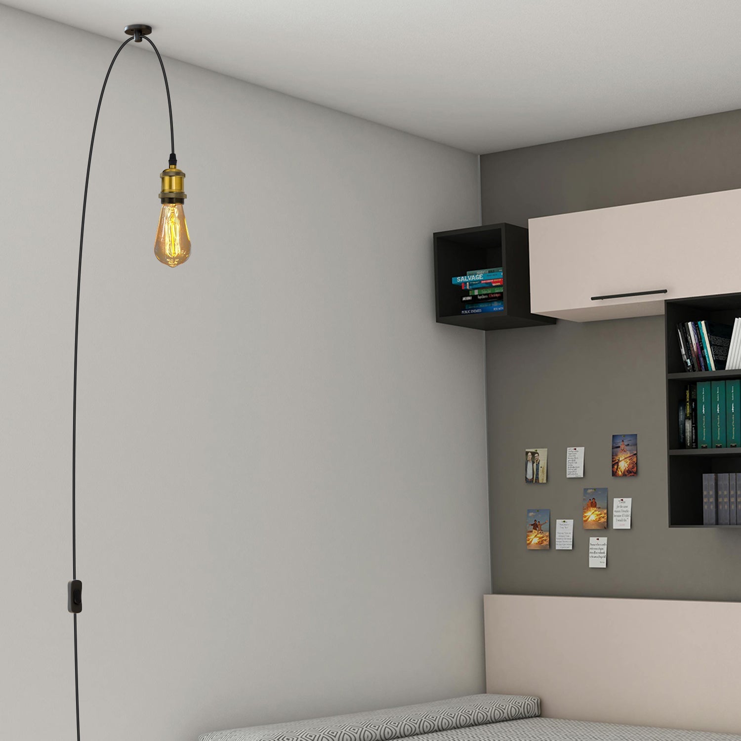 Vintage Plug-in Pendant Light with Adjustable Cable, Hook & Dimmer Switch