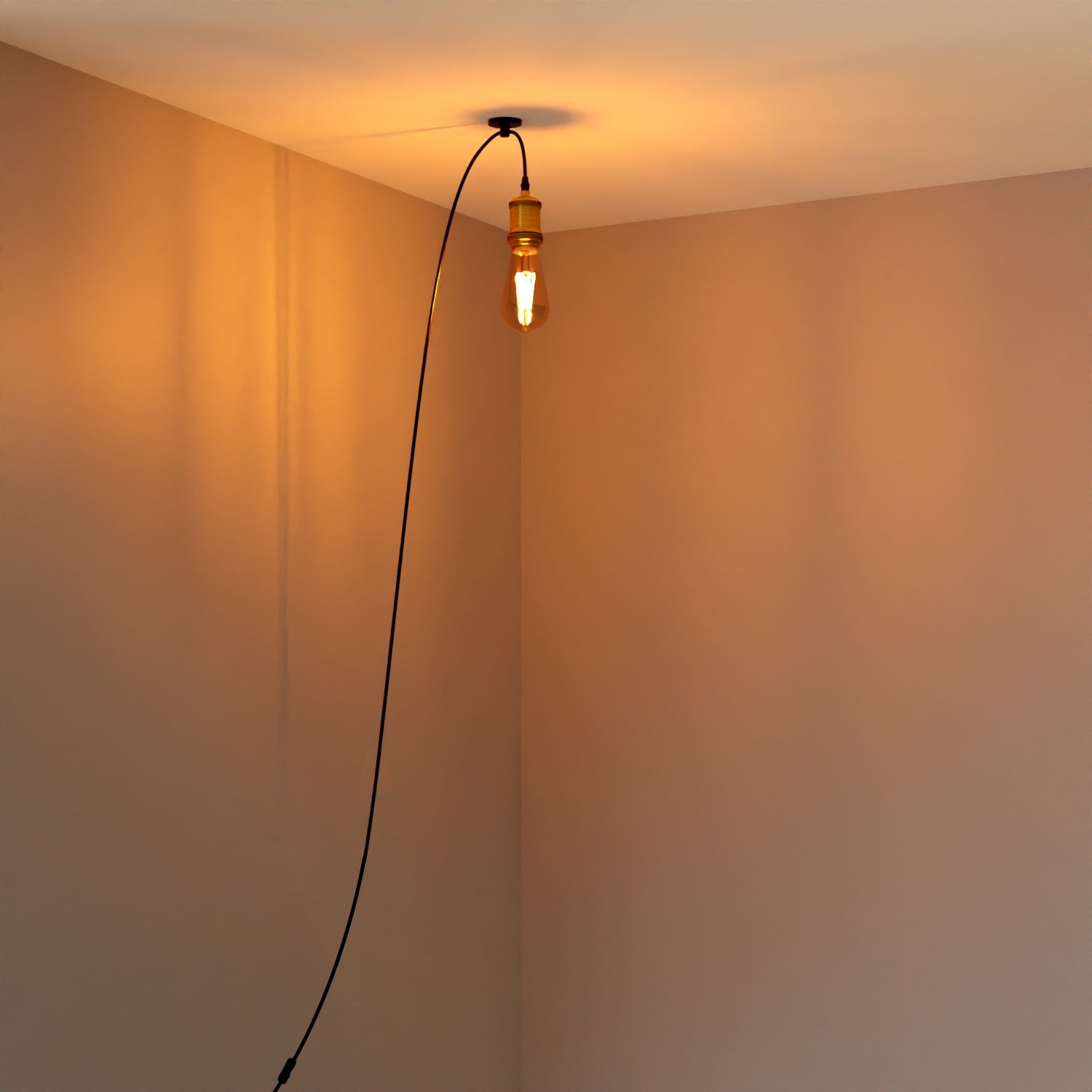 Vintage Style Plug-in Pendant Light with Adjustable Cable and Hook