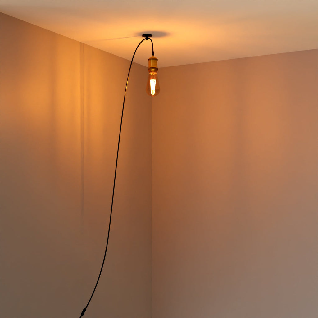 Vintage Plug-in Pendant Light with Adjustable Cable, Hook & Dimmer Switch