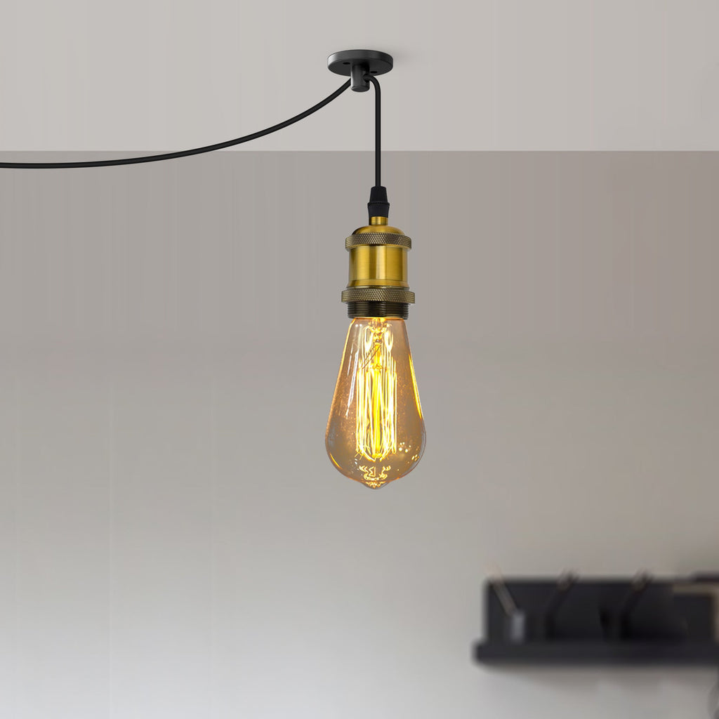 Vintage Plug-in Pendant Light with Adjustable Cable, Hook & Dimmer Switch