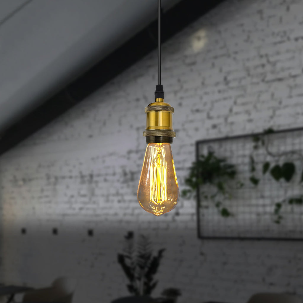 Vintage Style Plug-in Pendant Light with Adjustable Cable and Hook