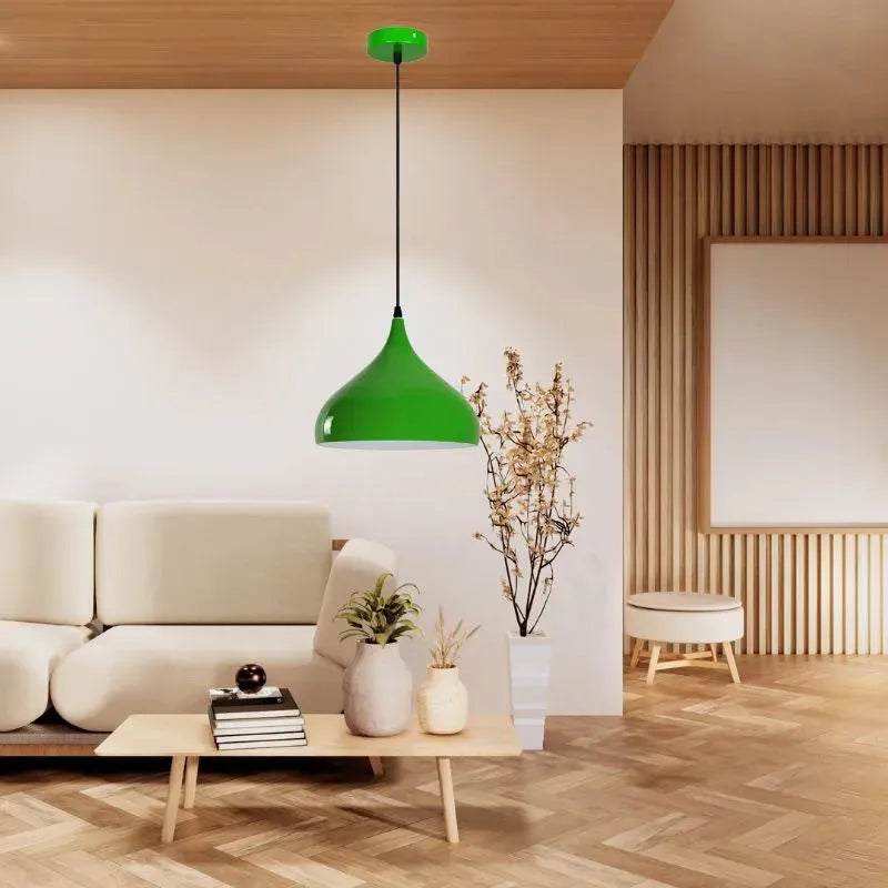 Industrial Pendant Lights  Retro Metal Ceiling Lamps~5867