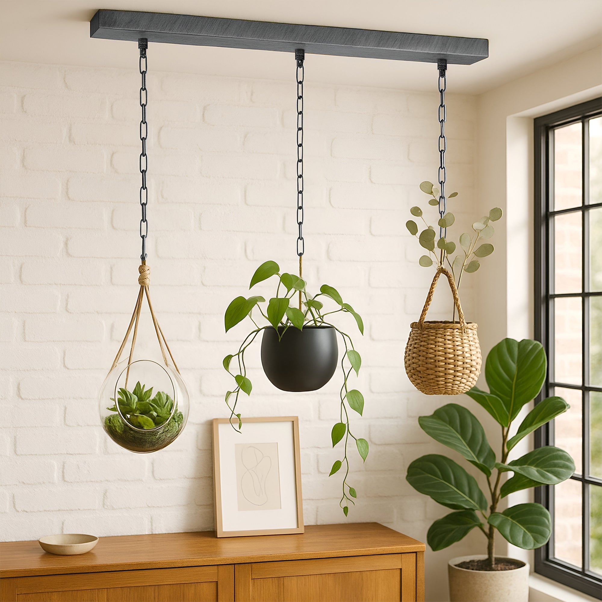 3 Outlet Ceiling Rose With chain hanging Pendant Light ~ 6171