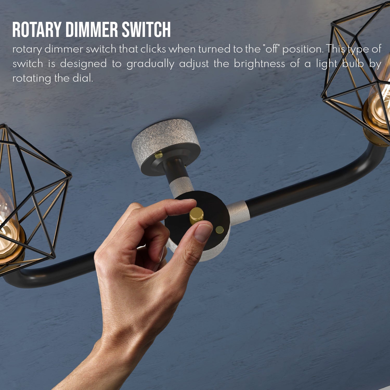 Industrial Black Conduit 2-Way Diamond Cage Wall Light Kit with Edison Bulb Option