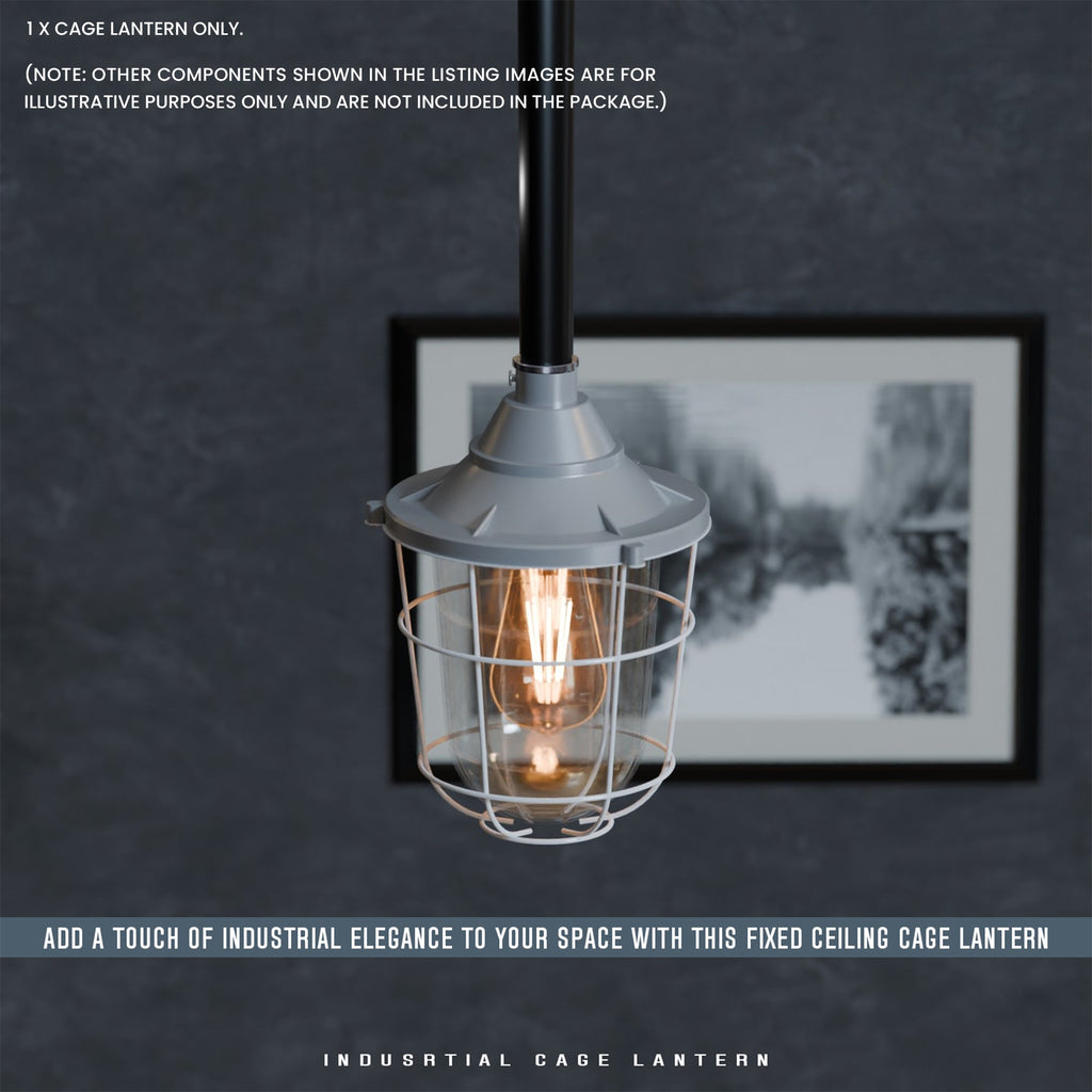 Durable Industrial Caged Conduit Fisherman Wall Lantern with Tempered Glass Shade