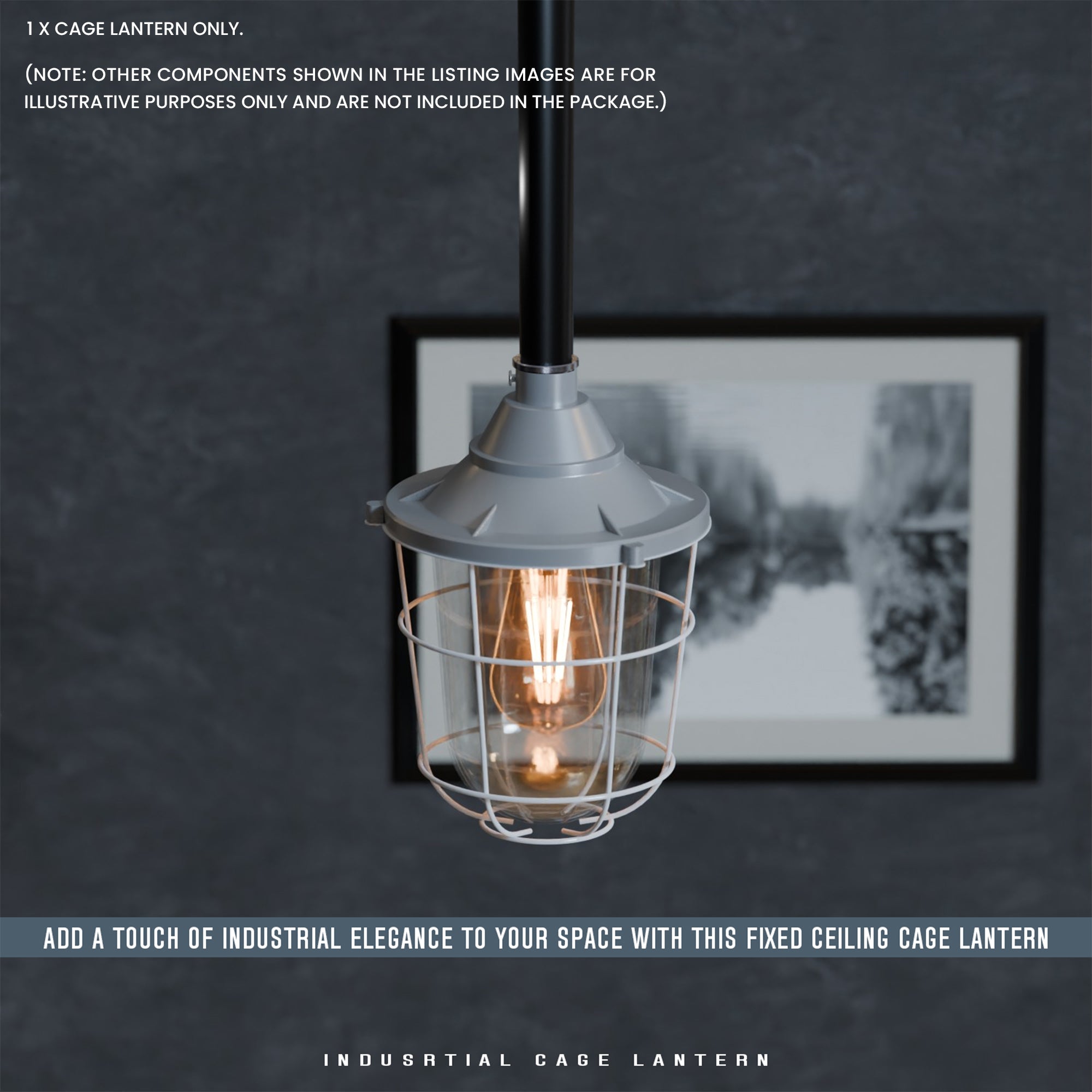 Durable Industrial Caged Conduit Fisherman Wall Lantern with Tempered Glass Shade