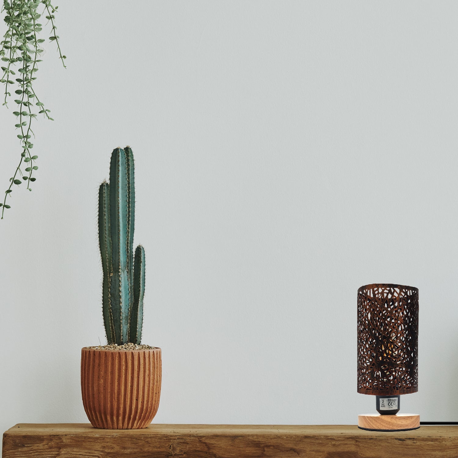 Modern Industrial Metal Cage Table Lamp with Natural Wood Base