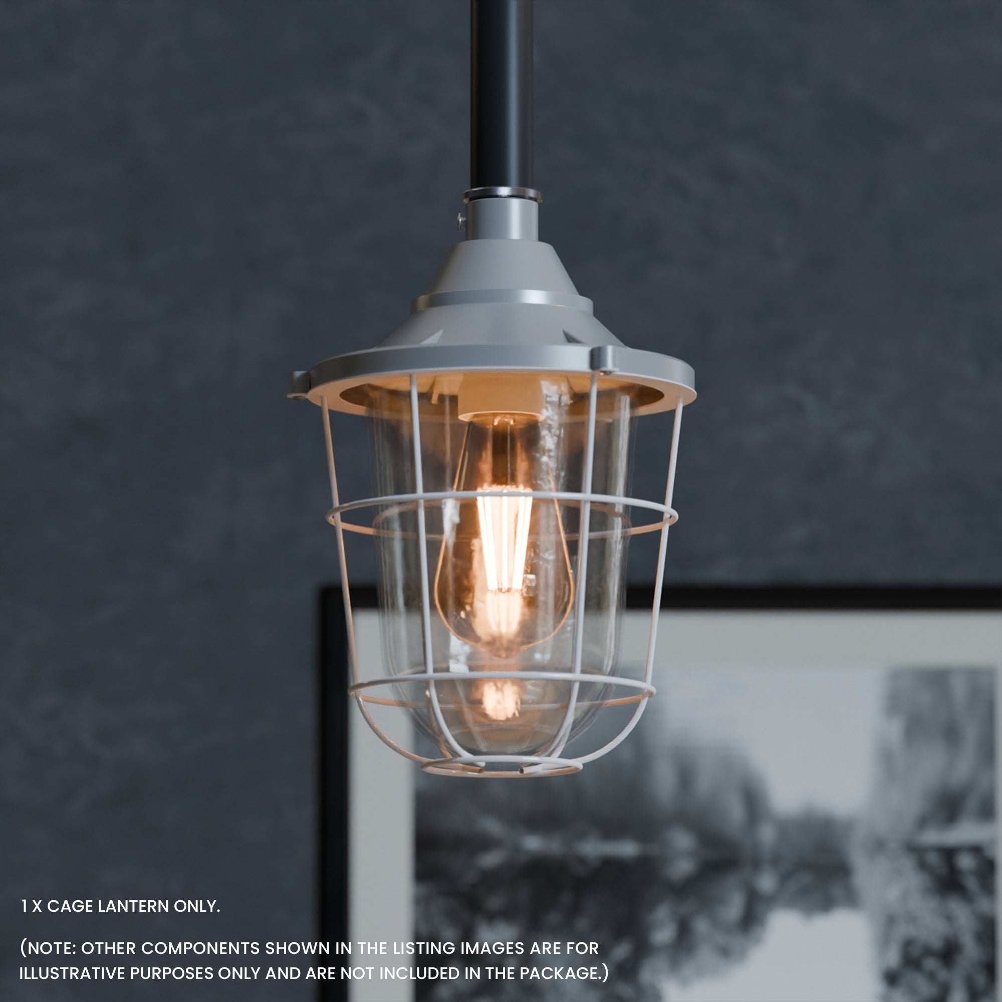 Durable Industrial Caged Conduit Fisherman Wall Lantern with Tempered Glass Shade