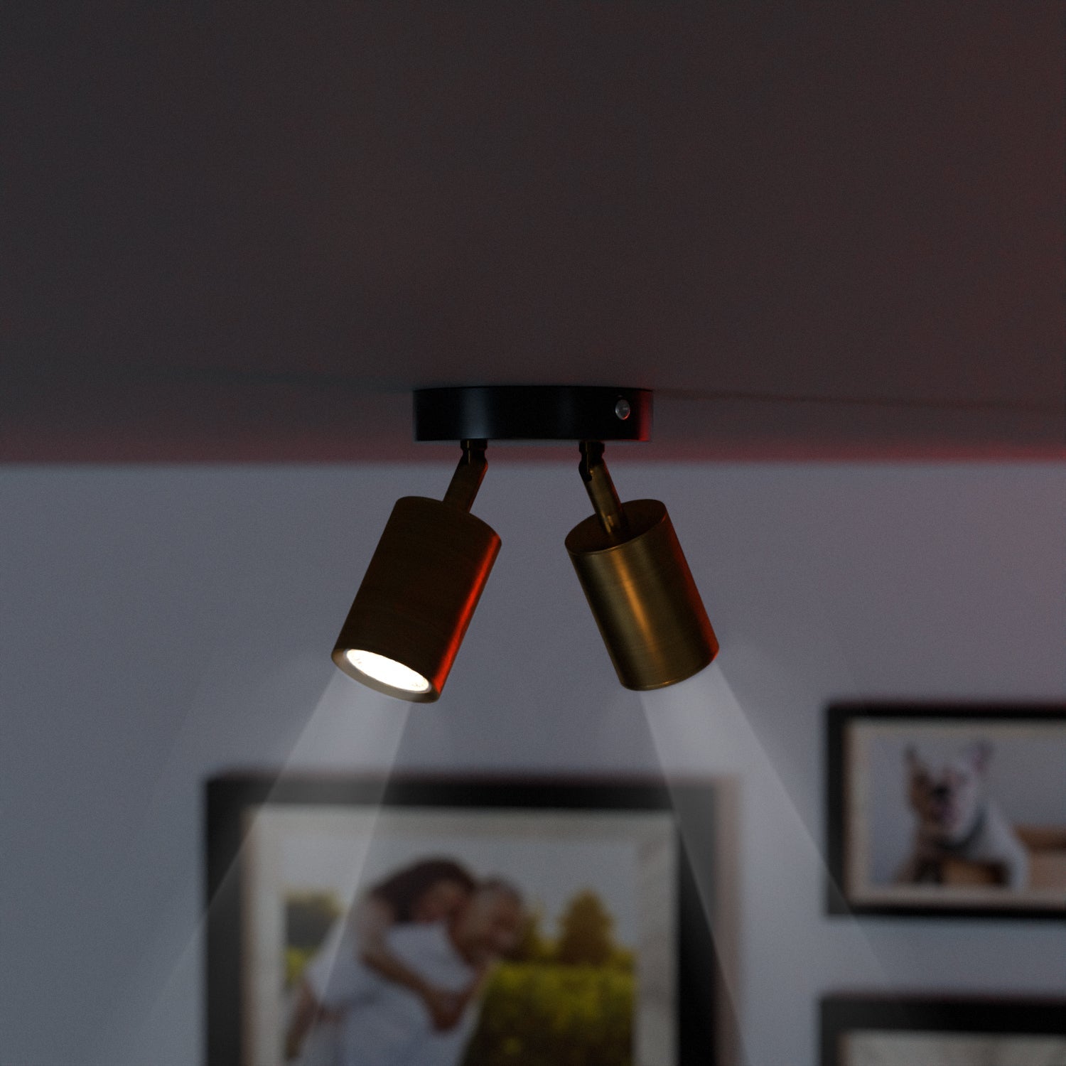 Modern Adjustable Double Head Rotatable GU10 Spotlight Ceiling Light Fixture