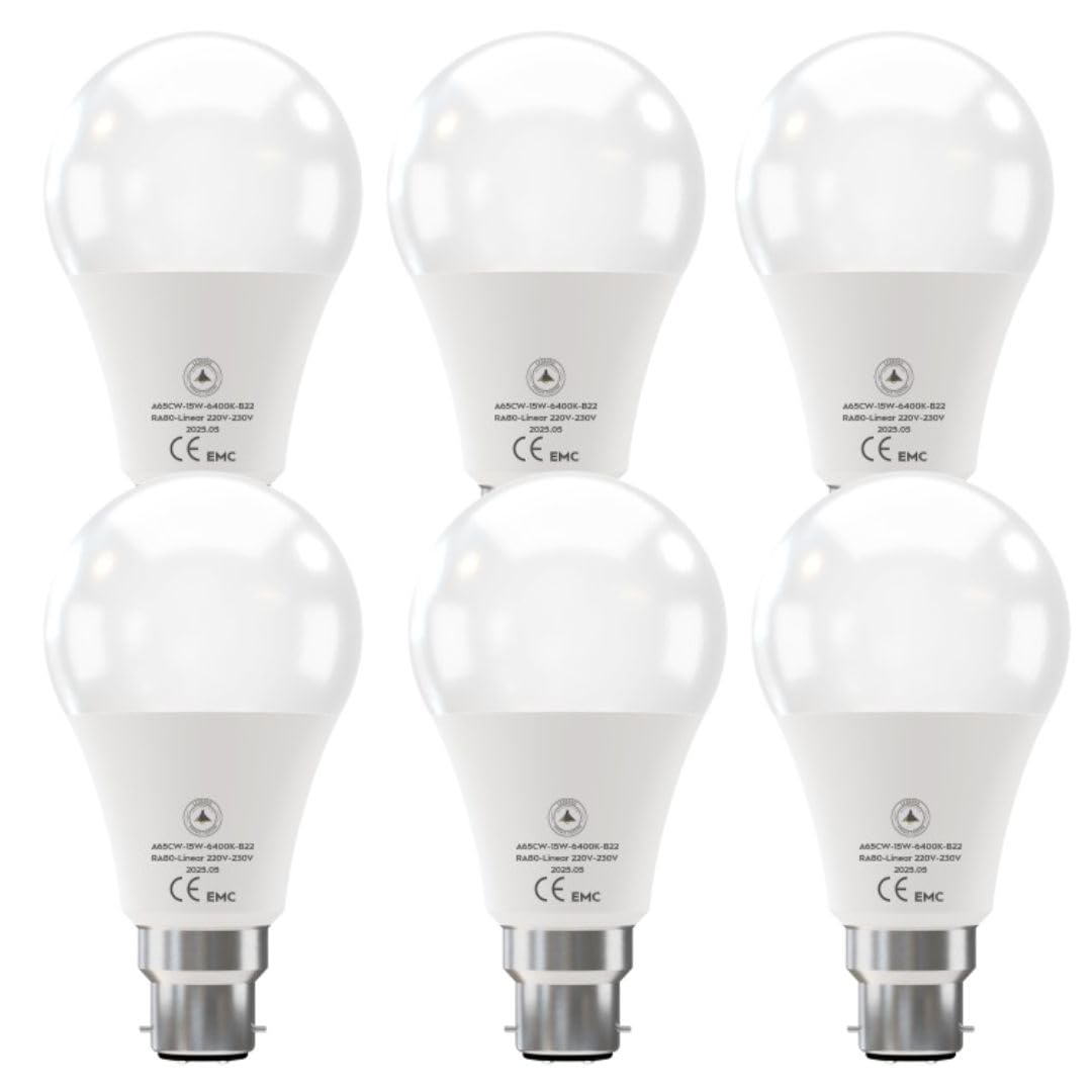 LED Light Bulb B22 A65 15W Cool White ~6262
