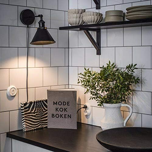 Vintage Industrial Plug-in Wall Light with Dimmer ~6266