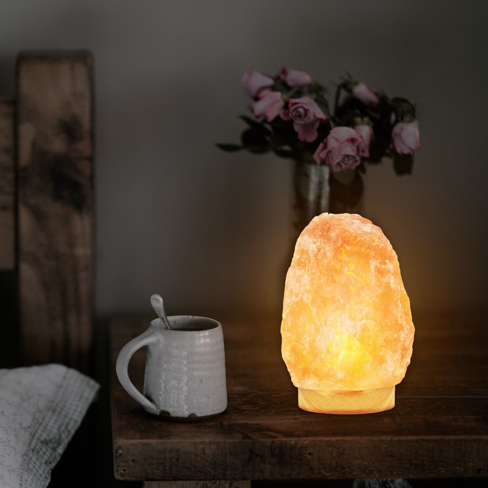 E14 salt lamp cord 2m with Switch ~6188