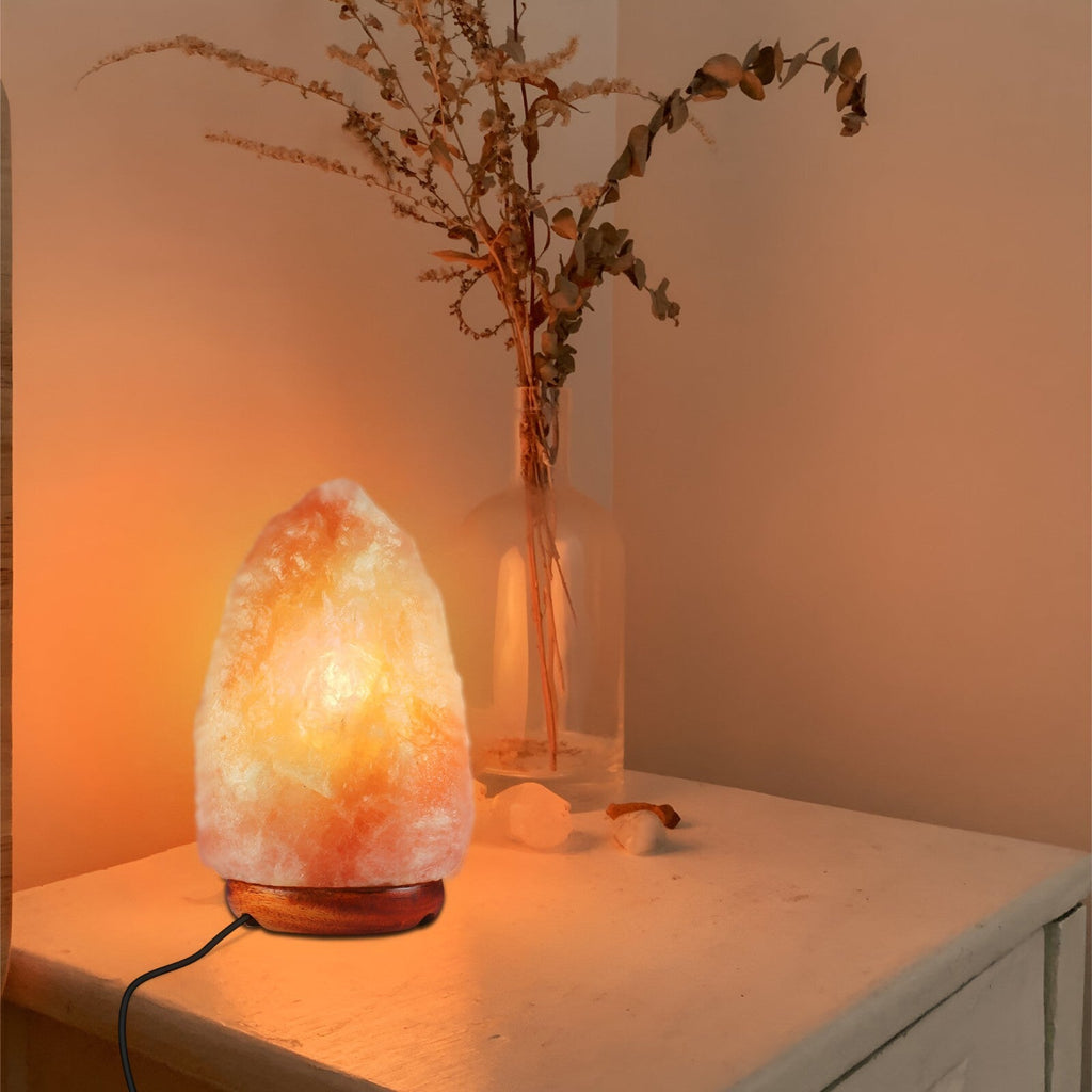 E14 Salt Lamp Cord 2M With Dimmer ~6189