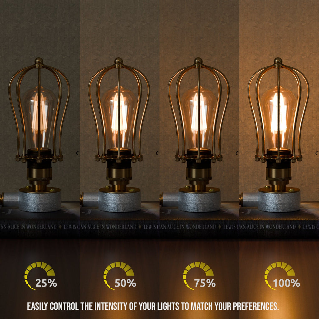 Conduit Pipe Table Lamp Kit with Dimmer Switch Steampunk Light -5651