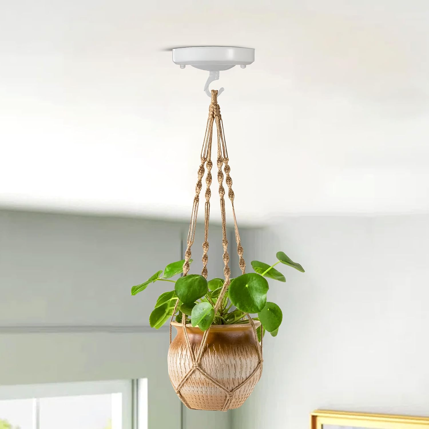 Ceiling Rose Hook Plate Holder Pendant Lamp Light Fitting DIY~6003