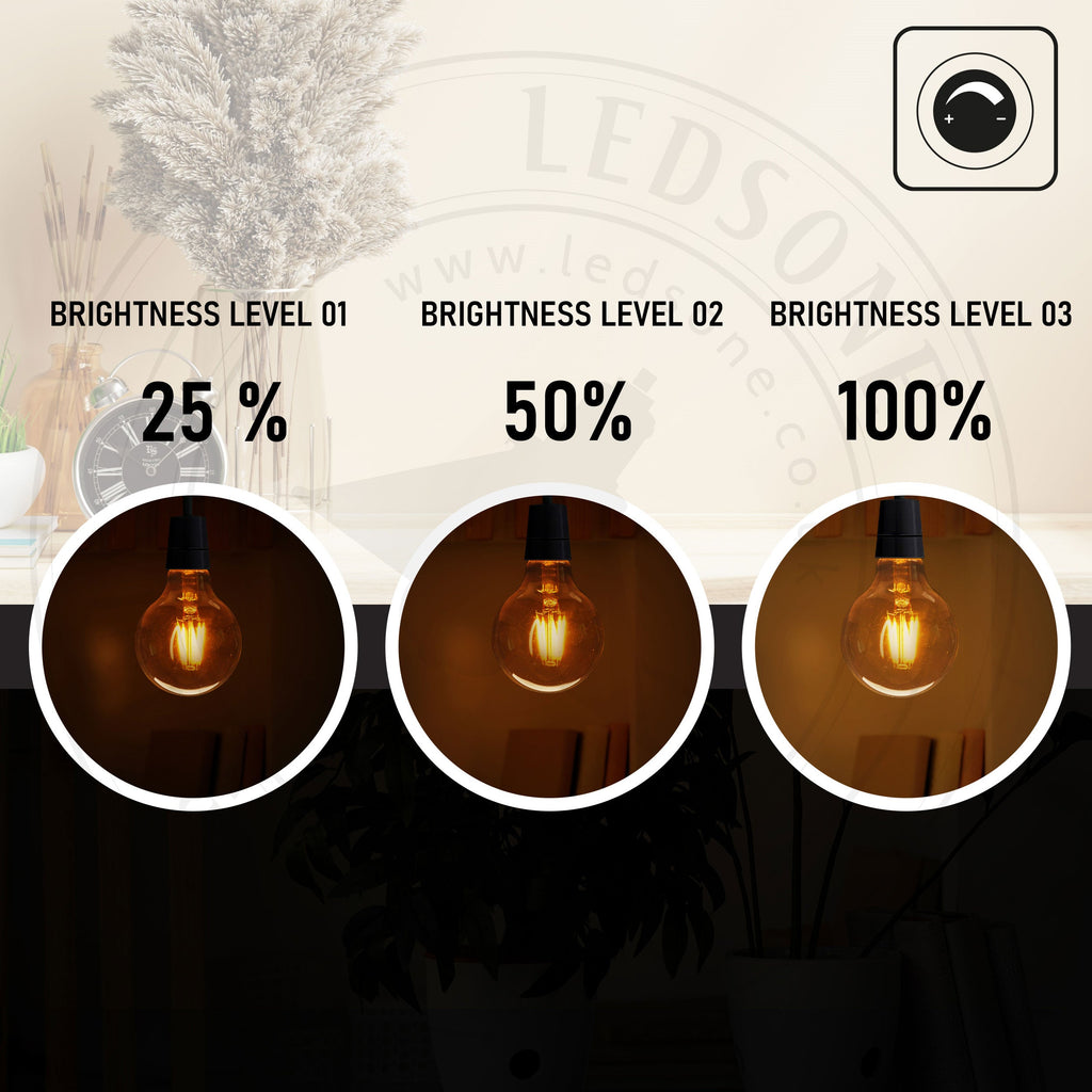 G95 LED Filament Vintage Bulb, 4W B22 Edison Globe, Warm White Dimmable
