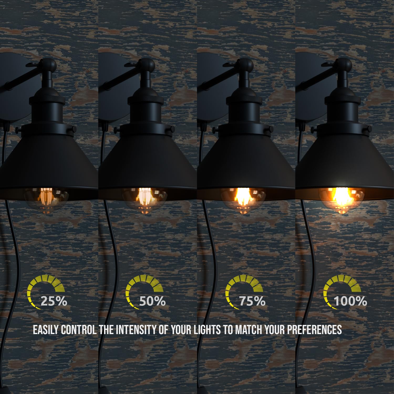 Vintage Industrial Plug-in Wall Light with Dimmer ~6266