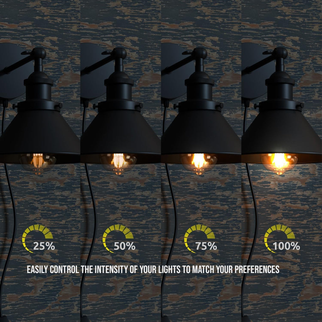 Vintage Industrial Plug-in Wall Light with Dimmer ~6266