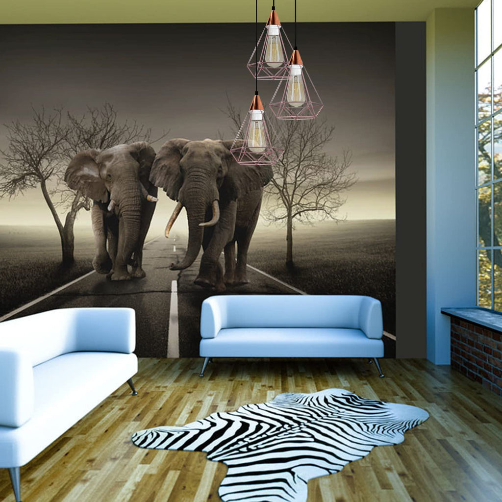 Industrial Metal Ceiling Pendant Lamp ~6354