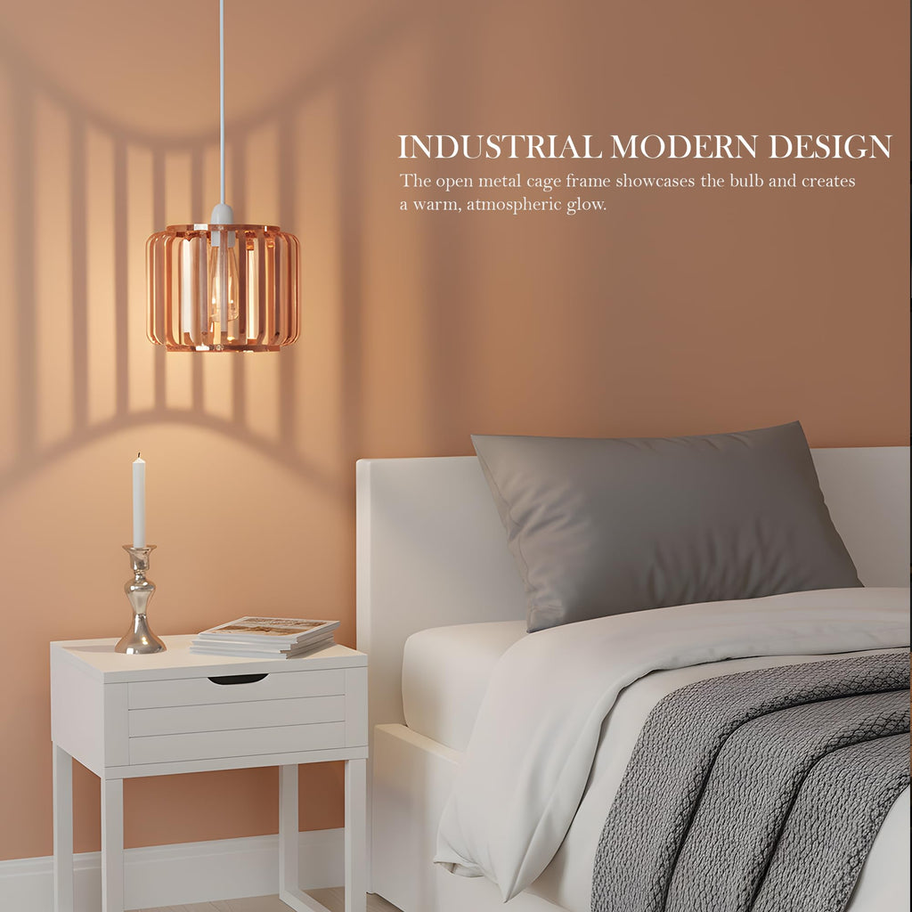 2-Pack Modern Industrial Metal Cage Ceiling Light Shades E27 Fitting