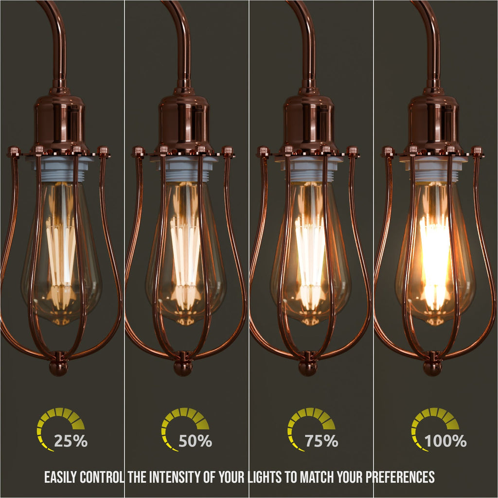 Industrial Conduit pipe Plug in metal Cage Wall Light Kit ~5925