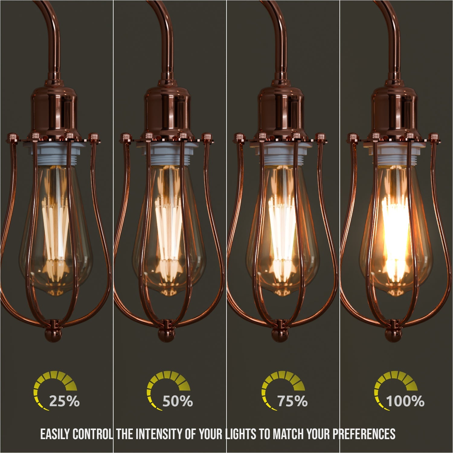 Industrial Conduit pipe Plug in metal Cage Wall Light Kit ~5925