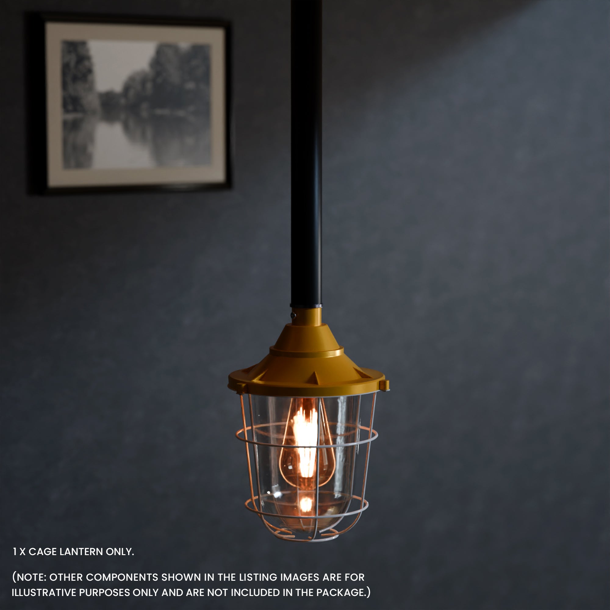 Durable Industrial Caged Conduit Fisherman Wall Lantern with Tempered Glass Shade