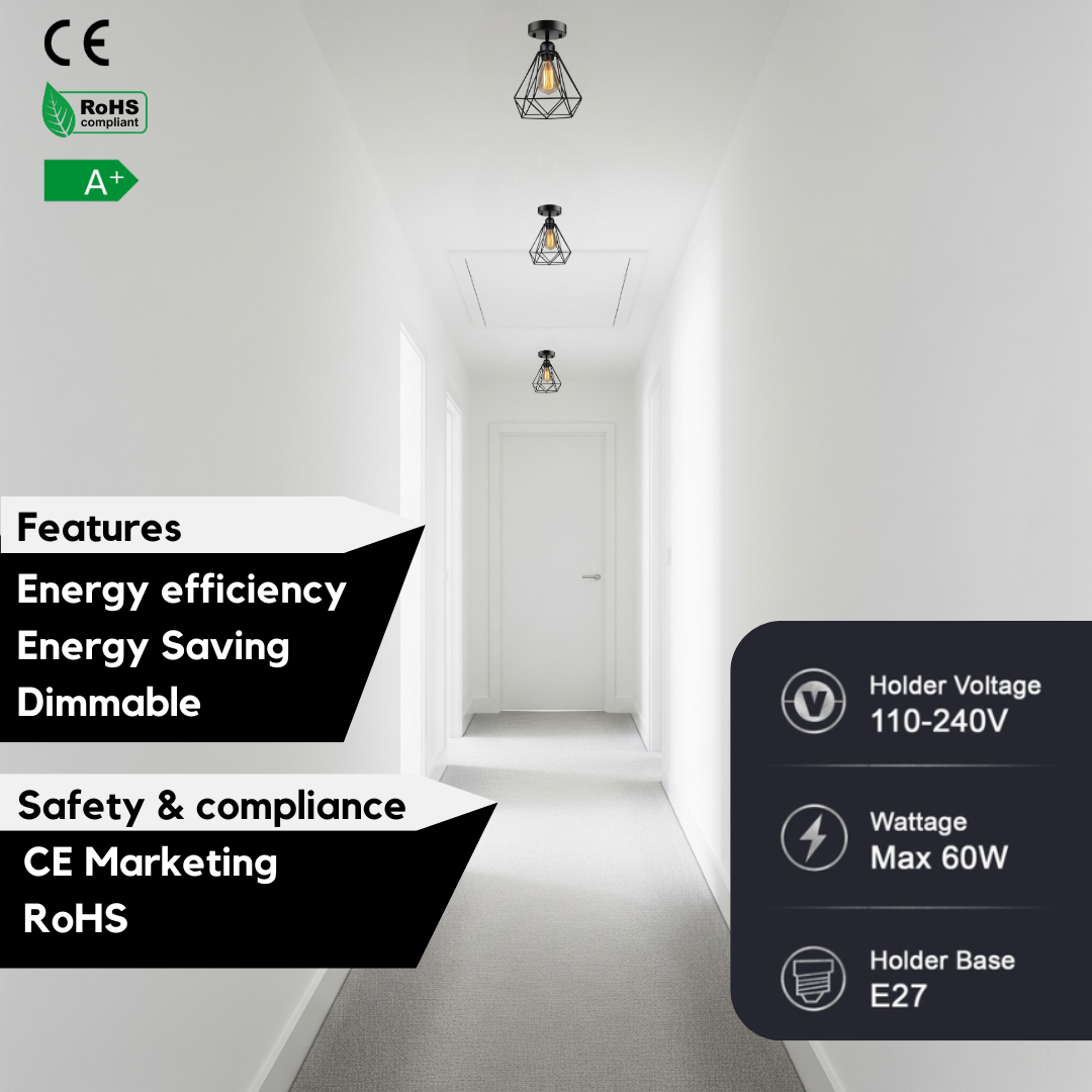 E27 Industrial Cage Flush Mount Light ~6161