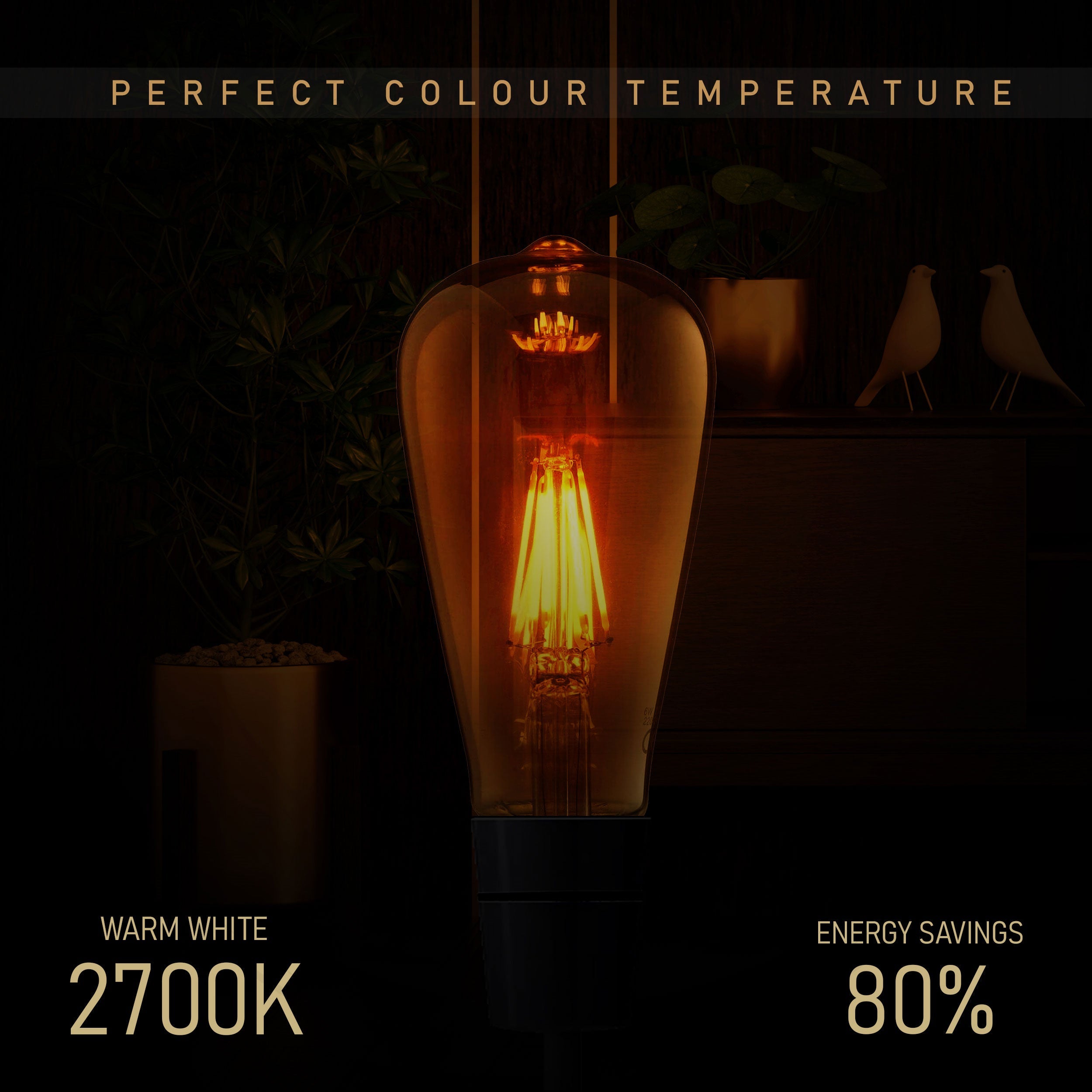 6-Pack Dimmable Vintage Filament LED Edison Bulbs, E27 Warm White