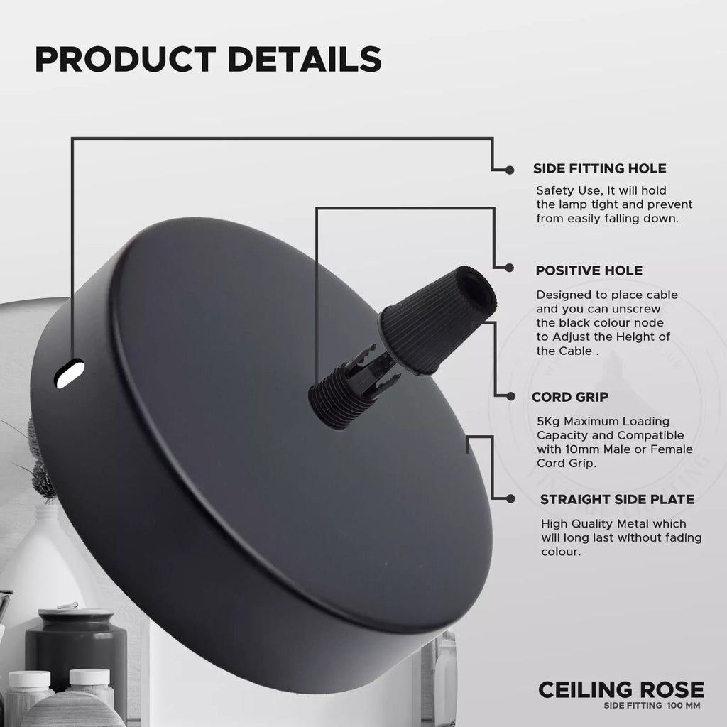 2 Pack Single Outlet Vintage industrial Ceiling Rose ~5869