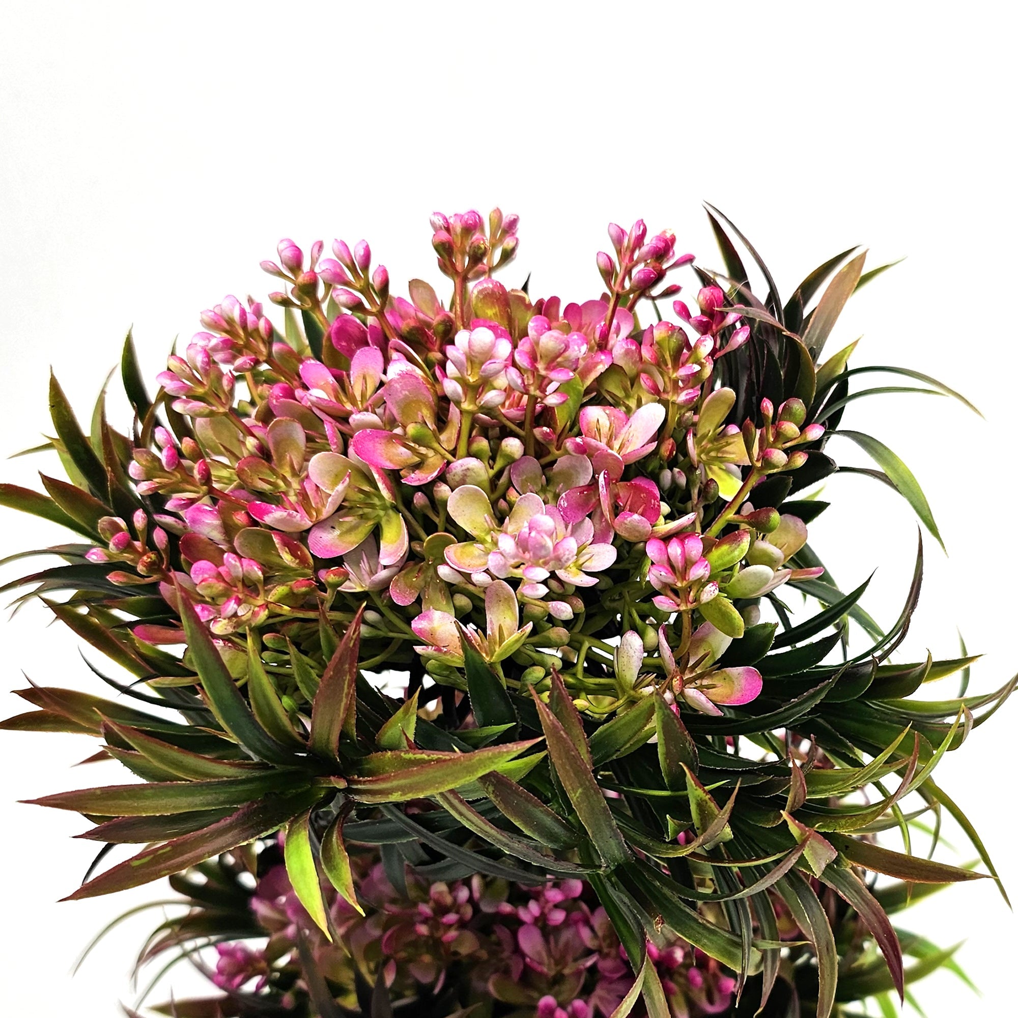 Modern Mini Artificial Bonsai Tree 2-Pack Indoor Outdoor Decorative Plants