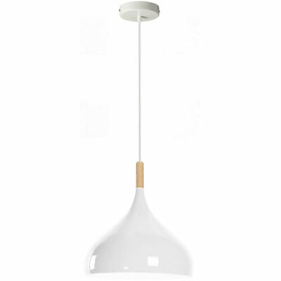 Modern Industrial Metal Dome Ceiling Pendant Light with Colorful Shade