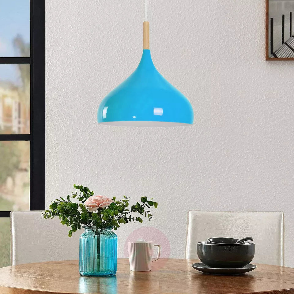 Industrial Dome Metal Ceiling Light Shade, Vintage Retro Pendant Lamp Fixture