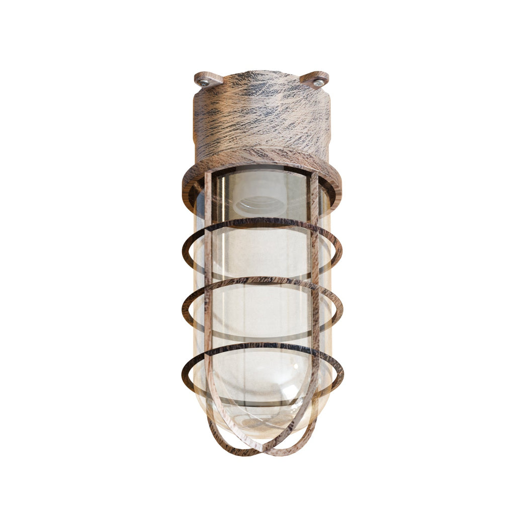 Industrial Retro Oval Caged Bulkhead Wall Ceiling Mount Light Fixture