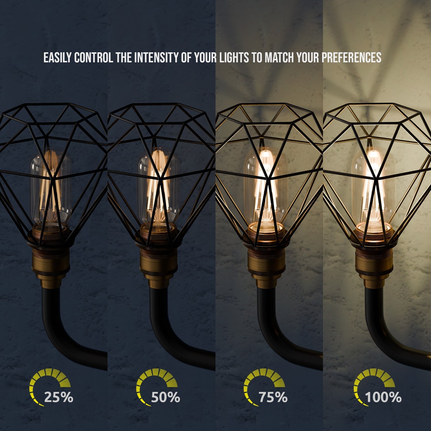 Industrial Black Conduit 2-Way Diamond Cage Wall Light Kit with Edison Bulb Option