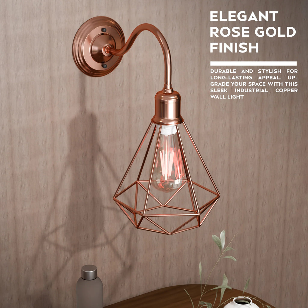 Vintage Wire Cage Wall Sconces Swan Neck Wall Light ~5971